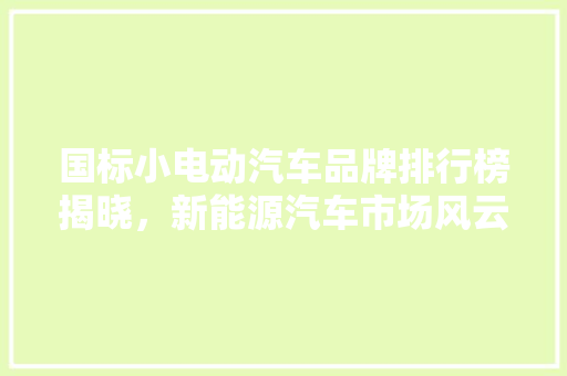 国标小电动汽车品牌排行榜揭晓，新能源汽车市场风云再起