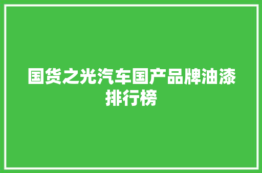 国货之光汽车国产品牌油漆排行榜