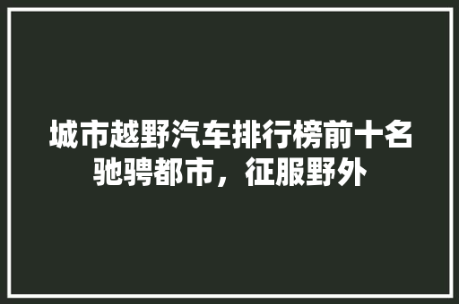 城市越野汽车排行榜前十名驰骋都市，征服野外