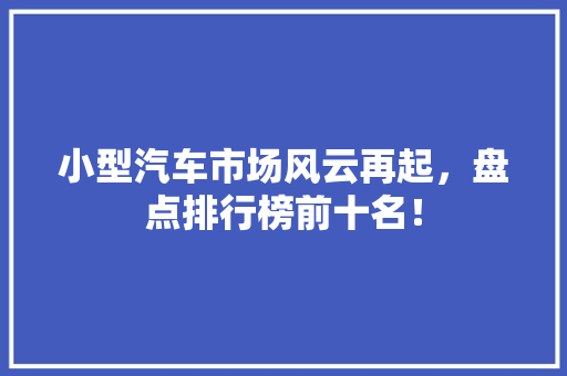 小型汽车市场风云再起，盘点排行榜前十名！