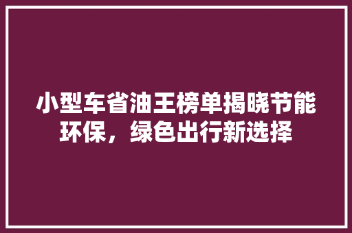 小型车省油王榜单揭晓节能环保，绿色出行新选择