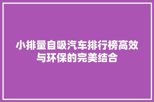 小排量自吸汽车排行榜高效与环保的完美结合