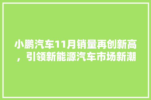 小鹏汽车11月销量再创新高，引领新能源汽车市场新潮流  第1张