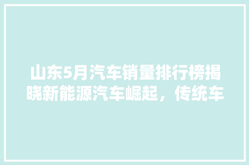 山东5月汽车销量排行榜揭晓新能源汽车崛起，传统车企稳扎稳打
