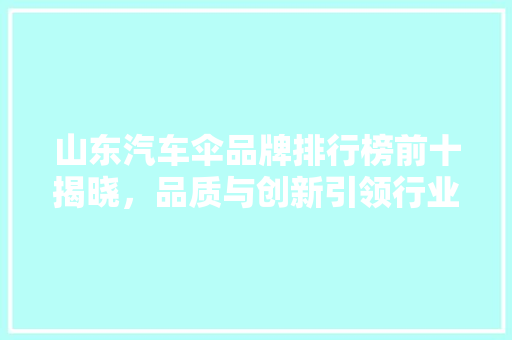 山东汽车伞品牌排行榜前十揭晓，品质与创新引领行业发展