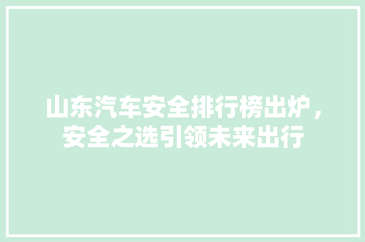 山东汽车安全排行榜出炉，安全之选引领未来出行