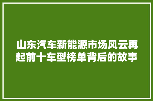 山东汽车新能源市场风云再起前十车型榜单背后的故事