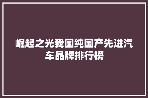 崛起之光我国纯国产先进汽车品牌排行榜