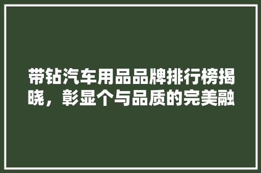带钻汽车用品品牌排行榜揭晓，彰显个与品质的完美融合