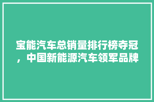 宝能汽车总销量排行榜夺冠,中国新能源汽车领军品牌背后的秘密 第1张 宝能汽车总销量排行榜夺冠,中国新能源汽车领军品牌背后的秘密 第1张
