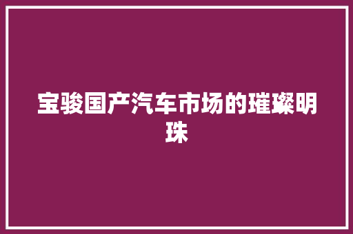 宝骏国产汽车市场的璀璨明珠