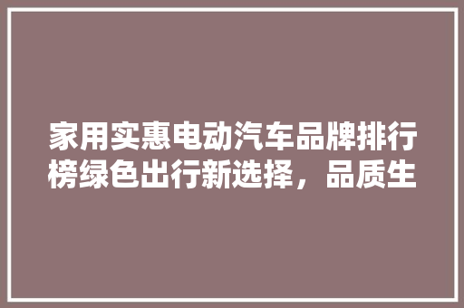 家用实惠电动汽车品牌排行榜绿色出行新选择，品质生活新篇章