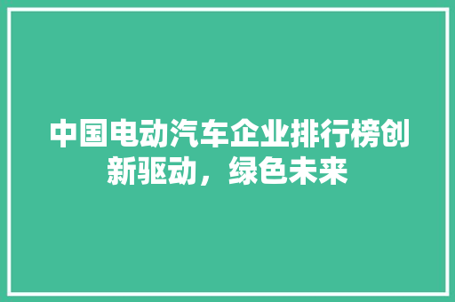 中国电动汽车企业排行榜创新驱动，绿色未来