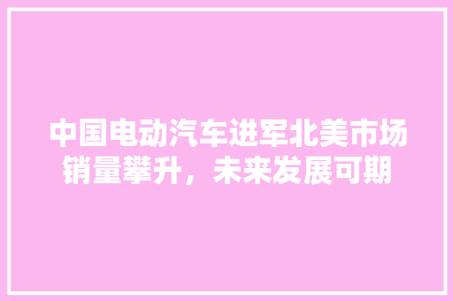 中国电动汽车进军北美市场销量攀升，未来发展可期