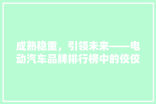 成熟稳重，引领未来——电动汽车品牌排行榜中的佼佼者