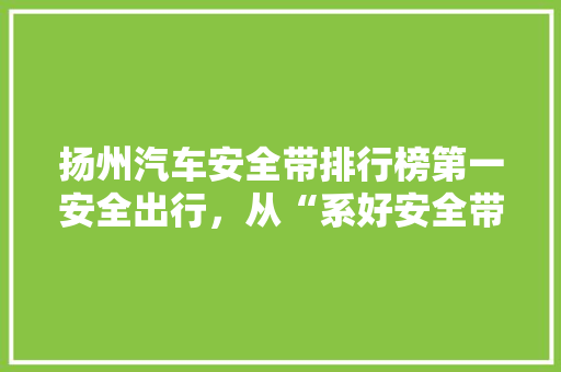 扬州汽车安全带排行榜第一安全出行，从“系好安全带”开始
