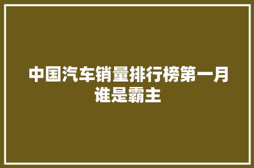 中国汽车销量排行榜第一月谁是霸主