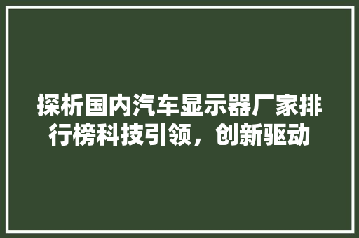 探析国内汽车显示器厂家排行榜科技引领，创新驱动