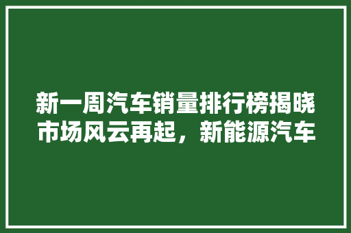 新一周汽车销量排行榜揭晓市场风云再起，新能源汽车强势崛起