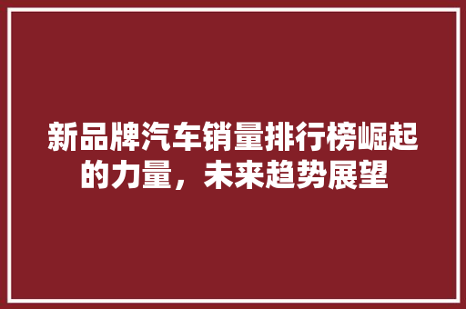 新品牌汽车销量排行榜崛起的力量，未来趋势展望