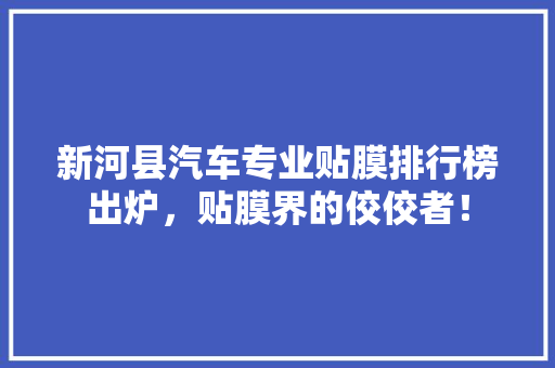 新河县汽车专业贴膜排行榜出炉，贴膜界的佼佼者！