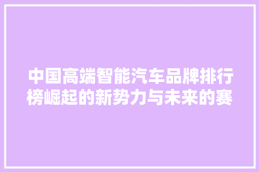 中国高端智能汽车品牌排行榜崛起的新势力与未来的赛道