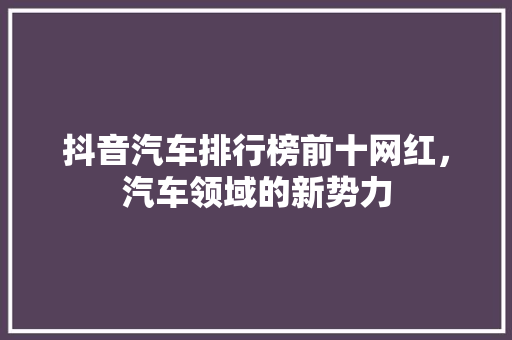 抖音汽车排行榜前十网红，汽车领域的新势力
