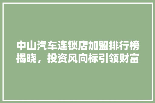 中山汽车连锁店加盟排行榜揭晓，投资风向标引领财富新潮流