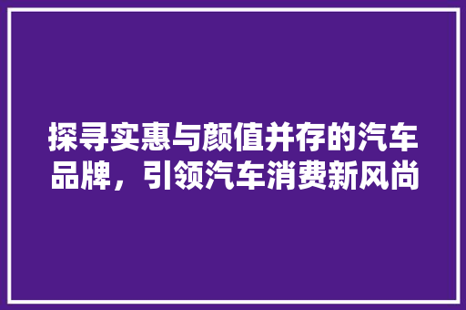 探寻实惠与颜值并存的汽车品牌，引领汽车消费新风尚