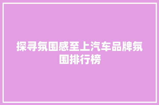 探寻氛围感至上汽车品牌氛围排行榜