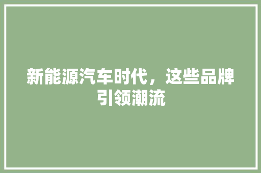 新能源汽车时代，这些品牌引领潮流