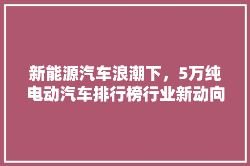 新能源汽车浪潮下，5万纯电动汽车排行榜行业新动向