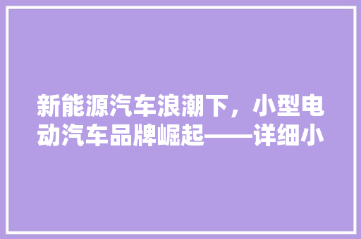新能源汽车浪潮下，小型电动汽车品牌崛起——详细小型电动汽车品牌排行榜