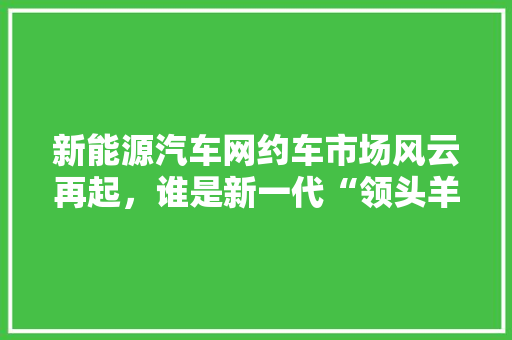 新能源汽车网约车市场风云再起，谁是新一代“领头羊”
