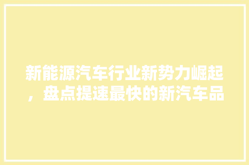 新能源汽车行业新势力崛起，盘点提速最快的新汽车品牌排行榜