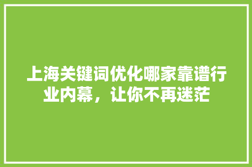 上海关键词优化哪家靠谱行业内幕,让你不再迷茫 第1张 上海关键词优化哪家靠谱行业内幕,让你不再迷茫 第1张