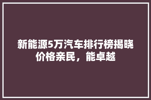 新能源5万汽车排行榜揭晓价格亲民，能卓越