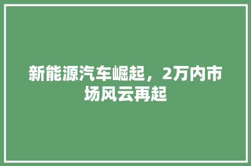 新能源汽车崛起，2万内市场风云再起