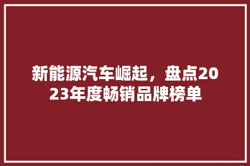 新能源汽车崛起，盘点2023年度畅销品牌榜单  第1张