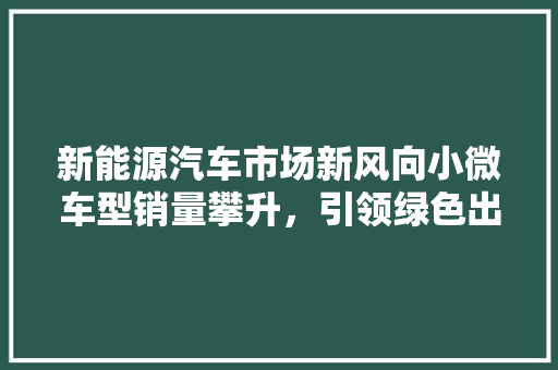 新能源汽车市场新风向小微车型销量攀升，引领绿色出行新潮流  第1张