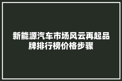 新能源汽车市场风云再起品牌排行榜价格步骤