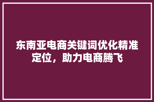 东南亚电商关键词优化精准定位,助力电商腾飞 第1张 东南亚电商关键词优化精准定位,助力电商腾飞 第1张