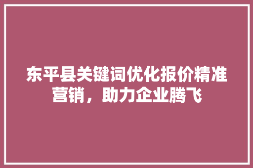 东平县关键词优化报价精准营销,助力企业腾飞