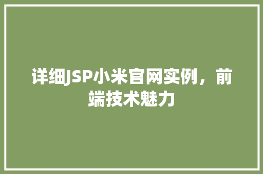 详细JSP小米官网实例，前端技术魅力