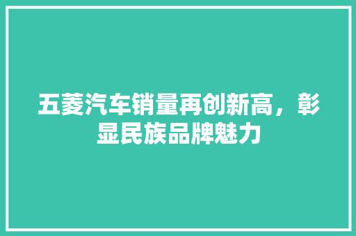五菱汽车销量再创新高，彰显民族品牌魅力