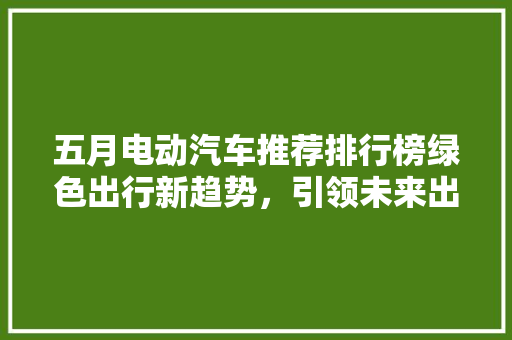 五月电动汽车推荐排行榜绿色出行新趋势，引领未来出行革命