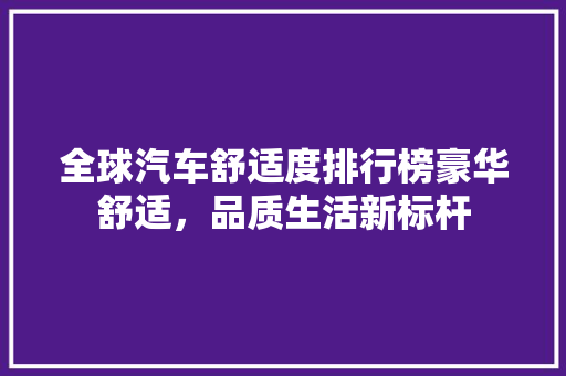 全球汽车舒适度排行榜豪华舒适，品质生活新标杆