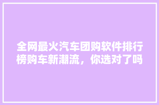 全网最火汽车团购软件排行榜购车新潮流，你选对了吗