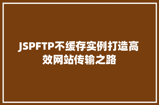 JSPFTP不缓存实例打造高效网站传输之路