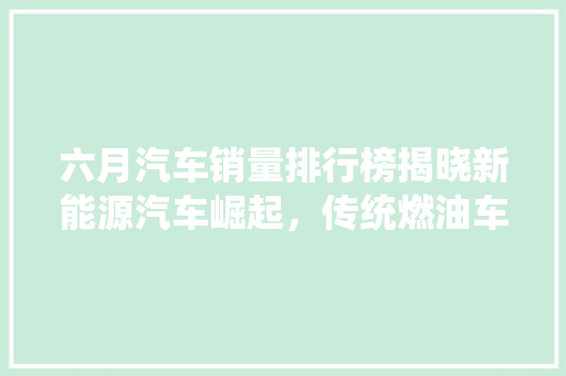 六月汽车销量排行榜揭晓新能源汽车崛起，传统燃油车面临挑战